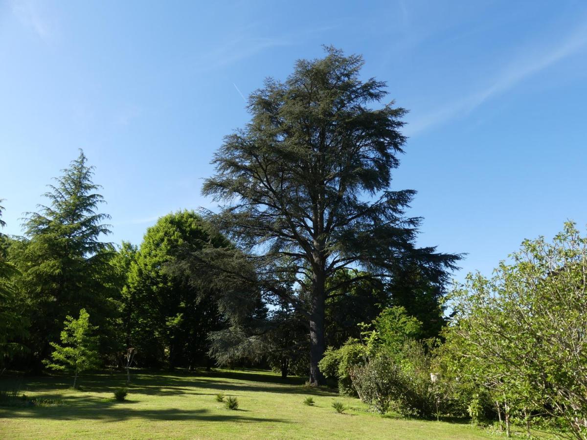 Le Petit Chateau - Adults Only Property Le Bugue Exterior photo